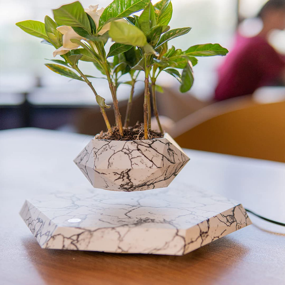 Elegant Levitating Planter for Home Décor TrendyZone